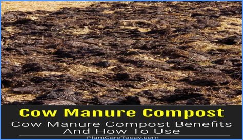 What is the NPK of composted cow manure?